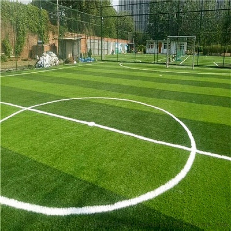 体育百科-五人制笼式足球场知识普及