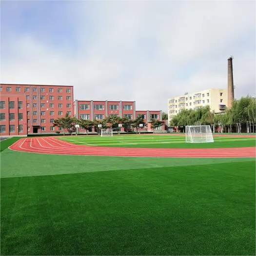 足球场人工草坪
